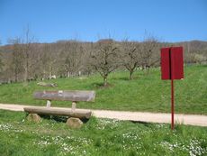 Weil am Rhein Weiler Weinweg 015.jpg